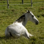 DSCN6357