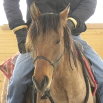 Magic's First Ride