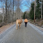 IMG_8980