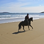 ozzy beach