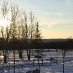 Winter Sunset