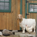 Murray and her friend