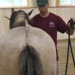 Groundwork for Training