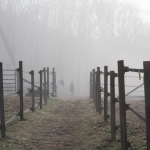IMG_5581 copy_1