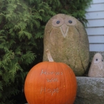 Fall Pumpkins