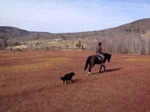 10480183_910937388951664_2953655894759256540_n