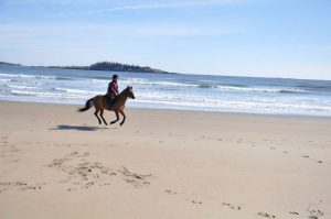 10696243_855251647853572_4564880062430713122_n