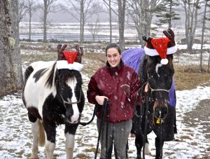 Rescues Baxter & Harlow celebrating the holidays