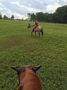 Austin leads the way up through the blueberry fields