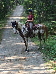 Koda enjoying Camden Hills State Park