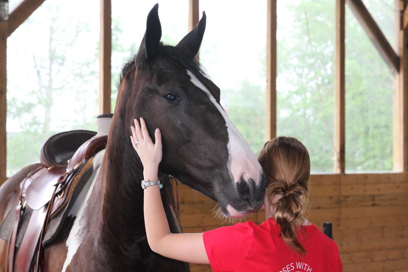 Luna - Horse Rescue, Horses with Hope