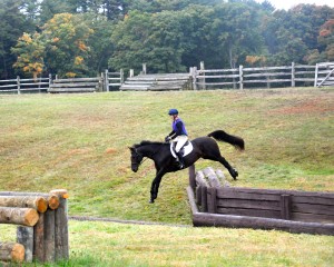 Raven schools a drop bank during a cross-country clinic
