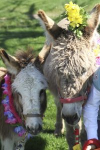 Jack & JJ celebrate their special day in style