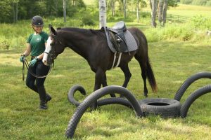 Our freaky 'spider' was no problem for Toby