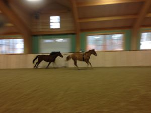 img_3139