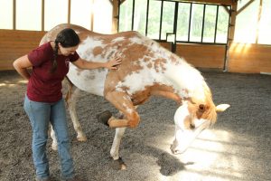 Koda showed us that he already knows a trick or two!