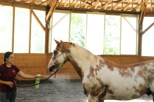 Koda wasn't sure about flyspray at first, but he's coming around now