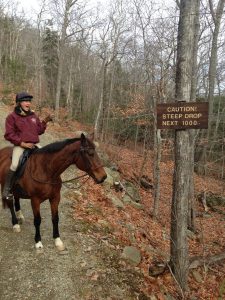 Cassie on the Camden Hills State Park trails.