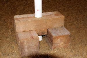 IMG_4645