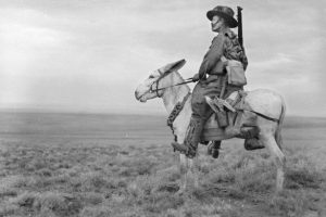 A donkey in action during World War I